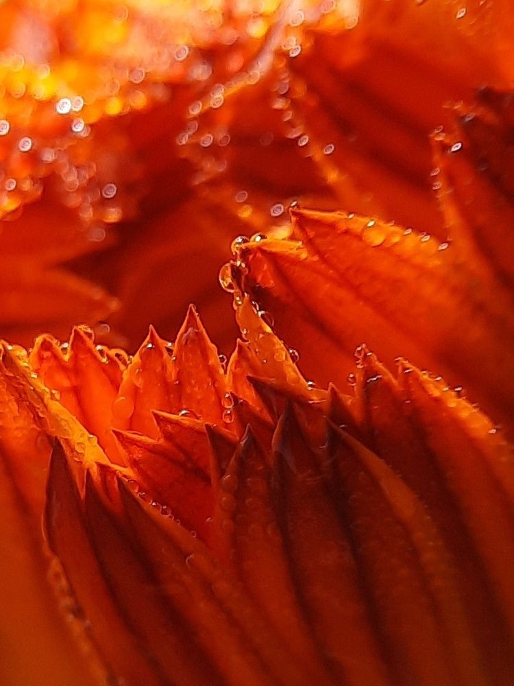 Photograph by Любовь Войтишина