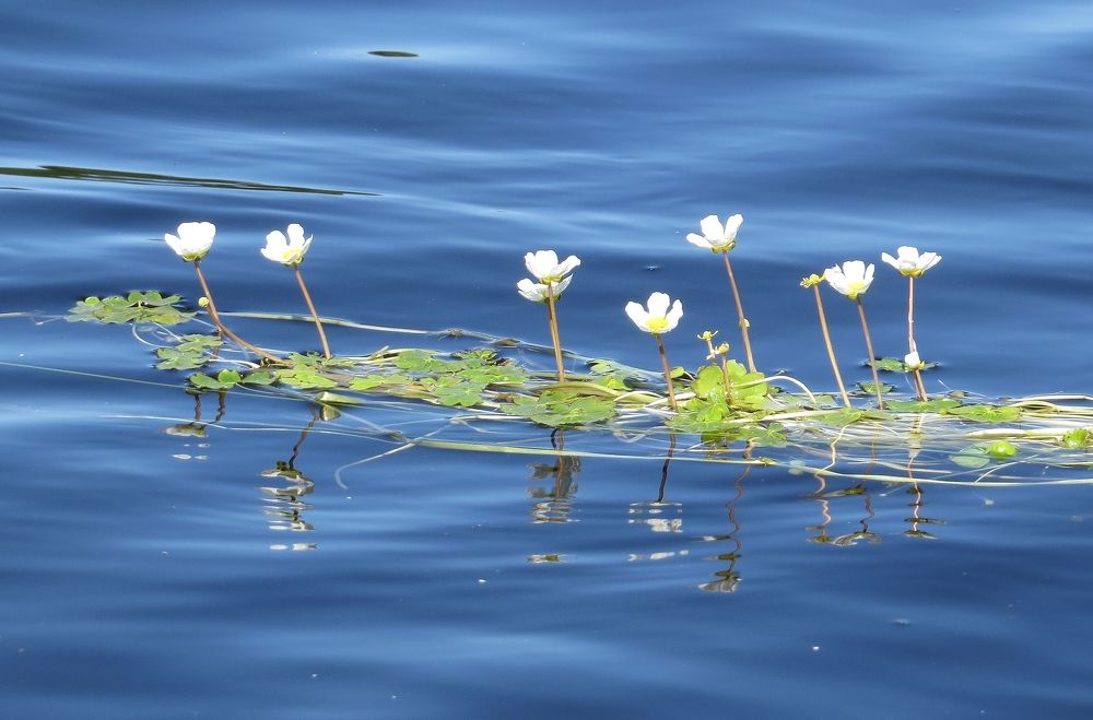 Photograph by Леонид Чеглаков