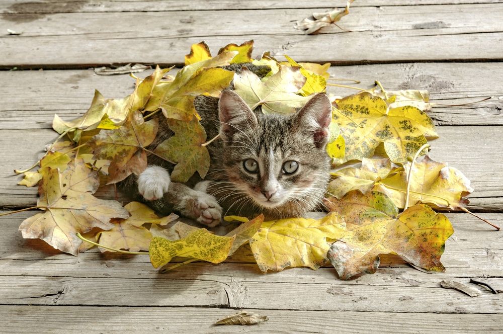 Photograph by Федотова Зоя