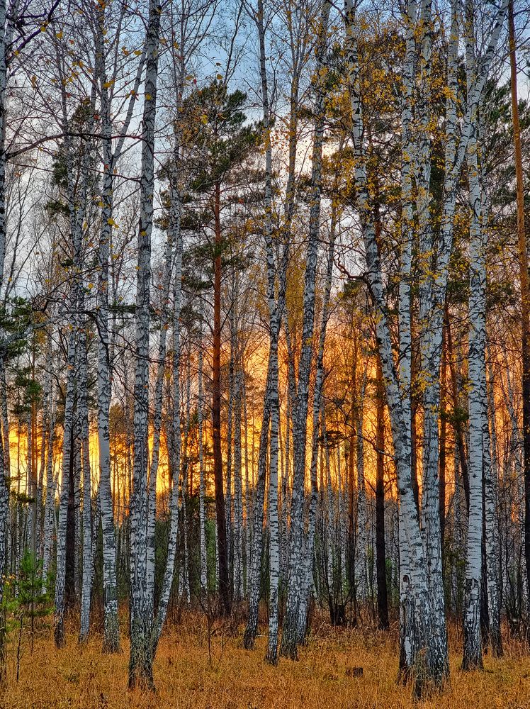 Photograph by Сергей Кесаев