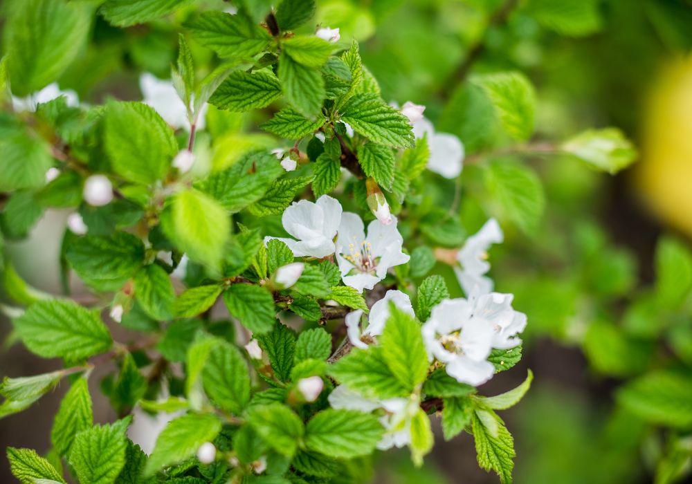Photograph by Нефедова Ангелина