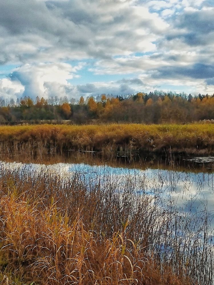 Photograph by Лилия Нурова