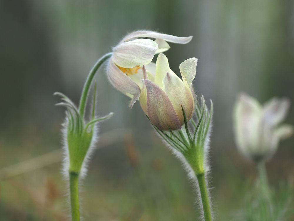 Photograph by Александр Попов