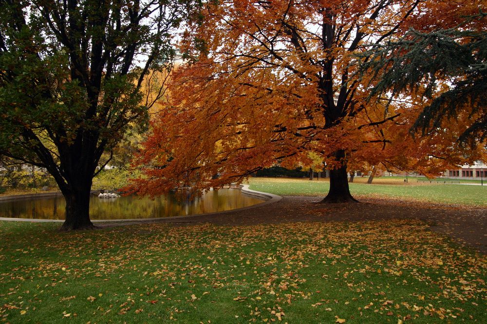 Photograph by Алексей Амилющенко