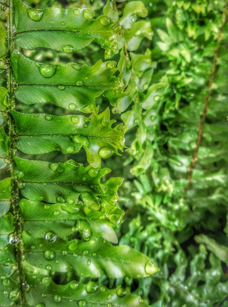 Photograph by Masoumeh Mahmoudi