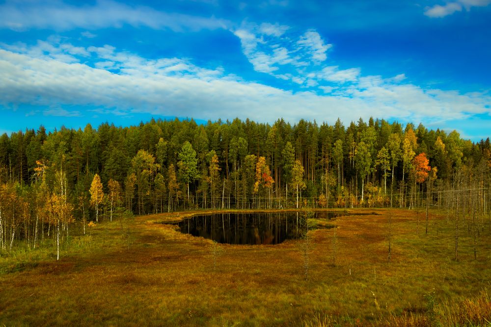 Photograph by Larionov