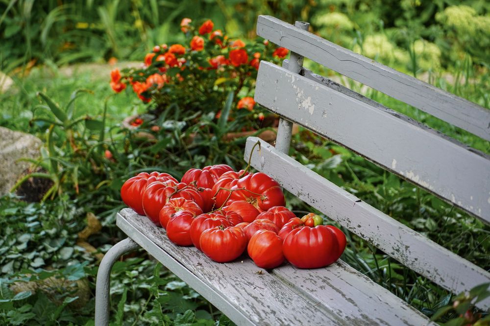 Photograph by Ольга Ларизадех