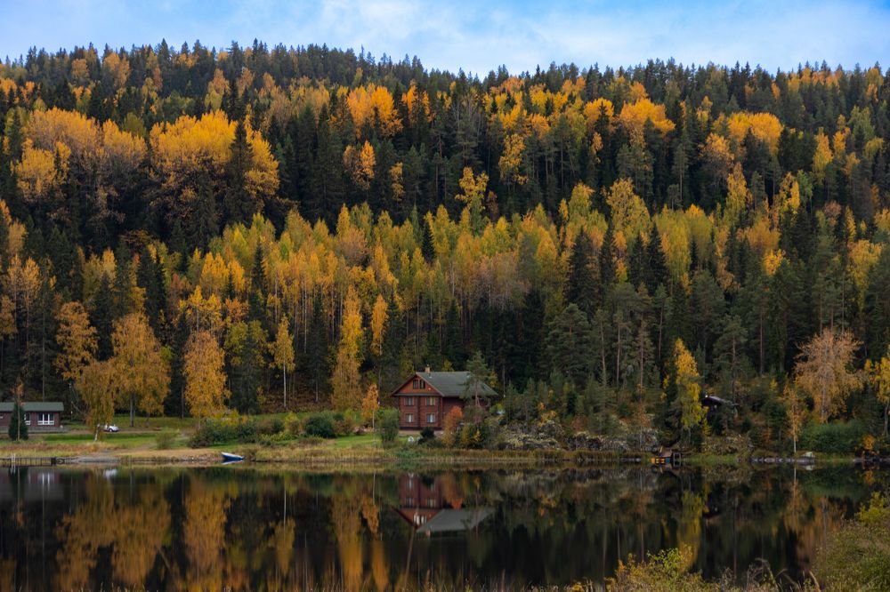 Photograph by Larionov