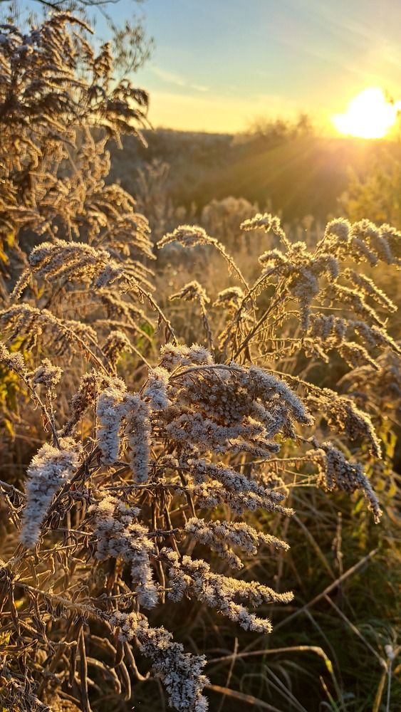 Photograph by Михаил Беляев