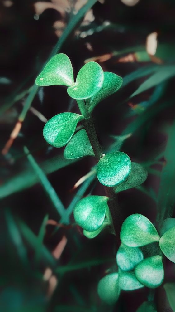 Photograph by Masoumeh Mahmoudi