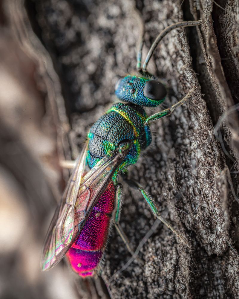 Photograph by Роман Фадеев