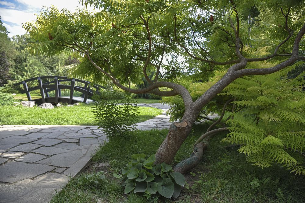 Фотография автора Владимир Пронин