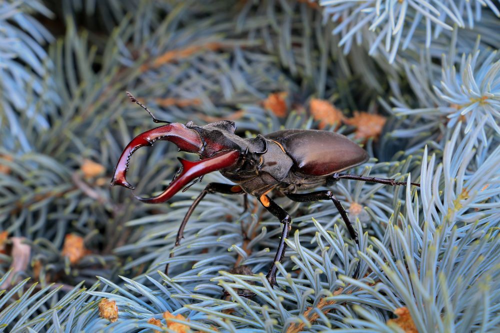 Photograph by Николай Кузнецов