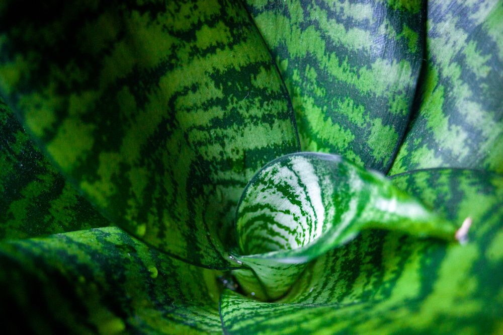 Photograph by Саша Литвин