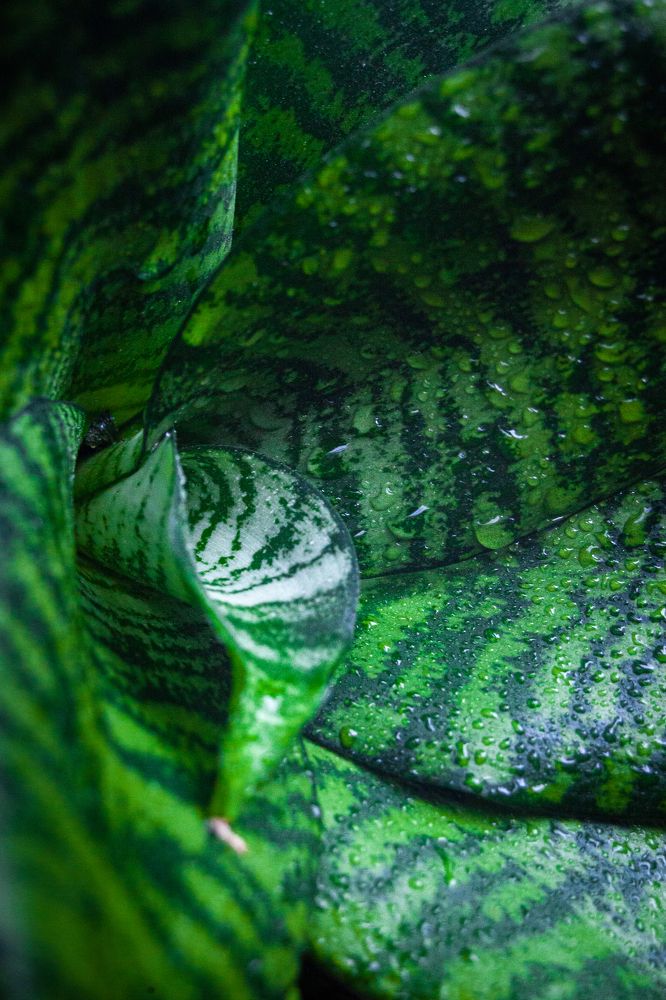 Photograph by Саша Литвин