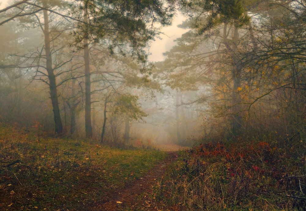 Photograph by Владимир