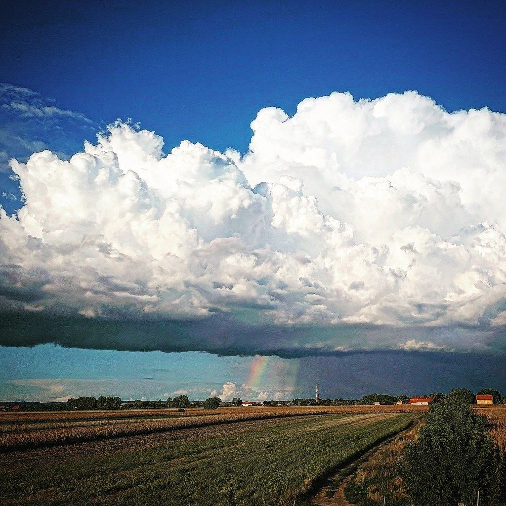 Photograph by Maja Micovic