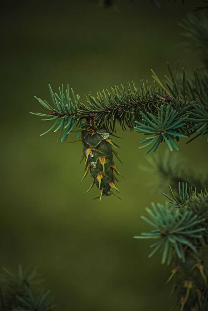 Photograph by Александр Безуглый