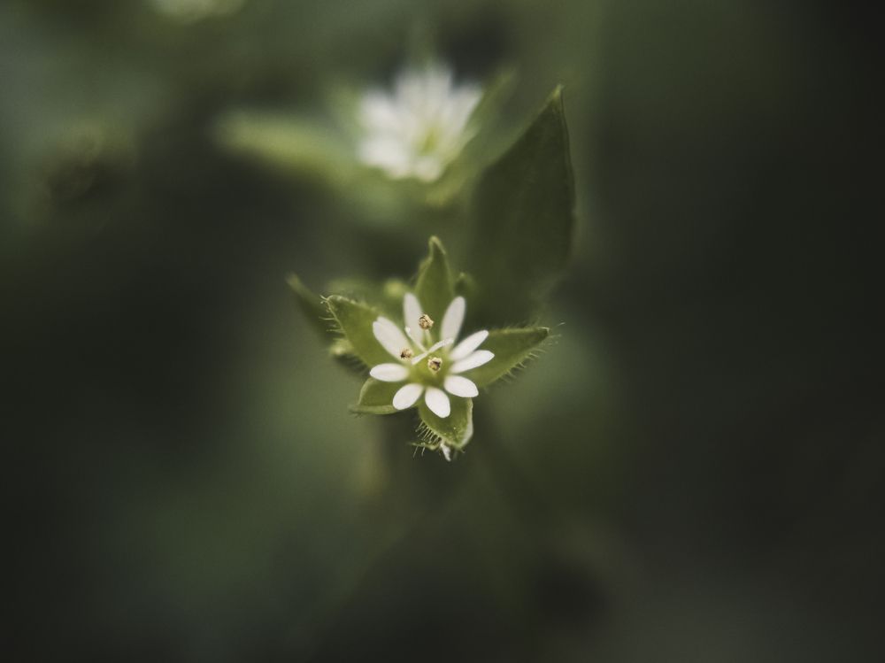 Photograph by Александр Безуглый