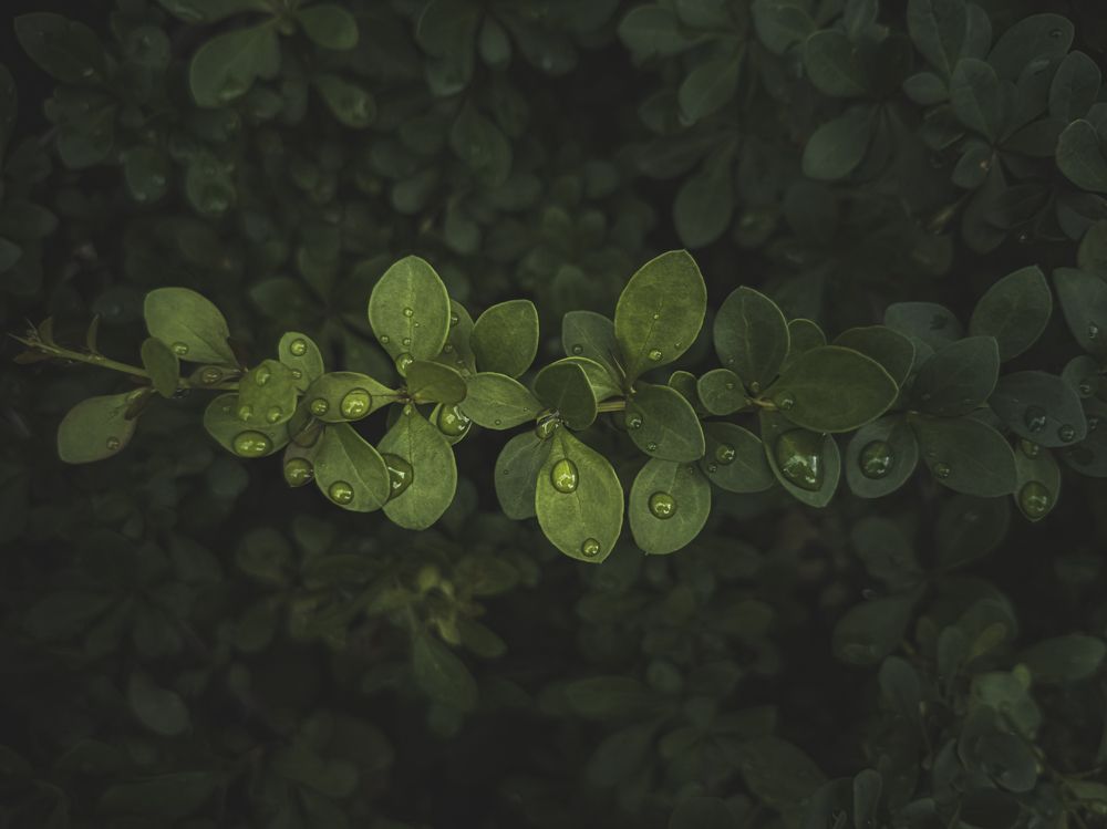 Photograph by Александр Безуглый