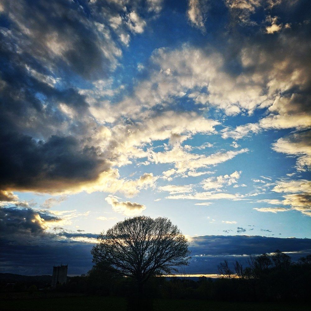 Photograph by Maja Micovic