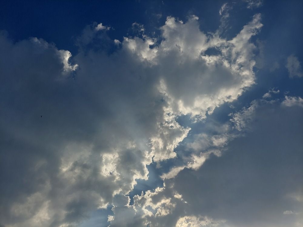 Photograph by Maja Micovic