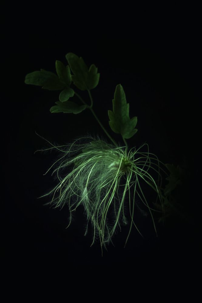 Photograph by Татьяна Колесникова