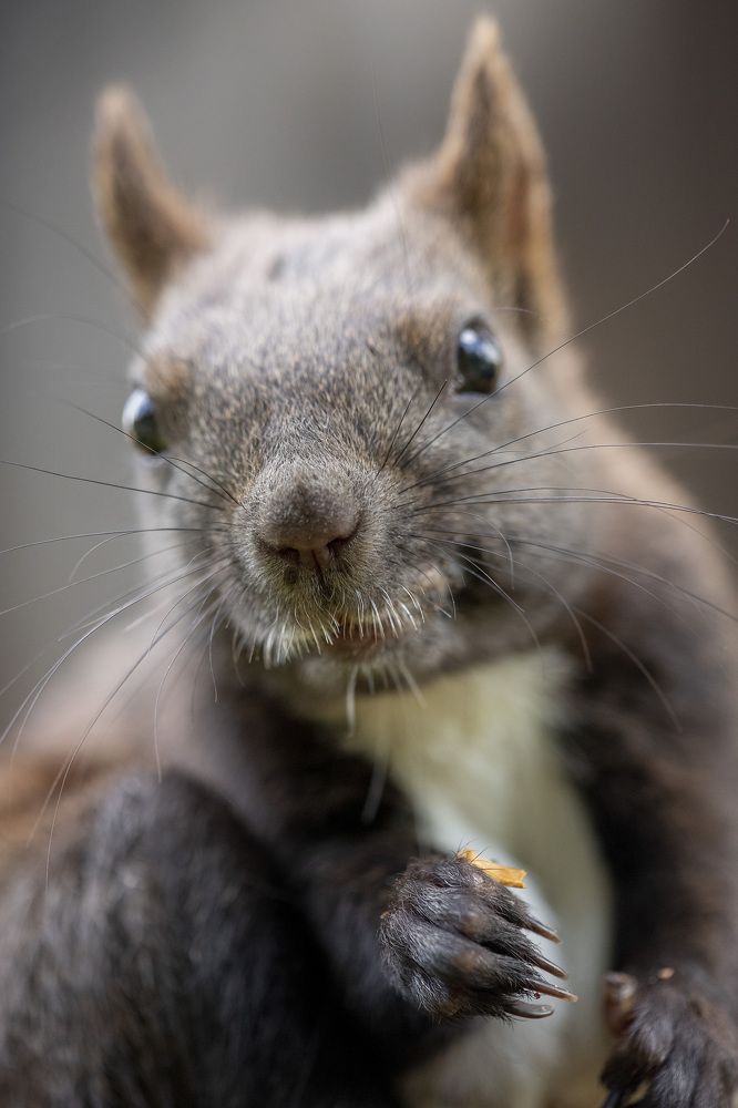 Photograph by Мария Овсечук