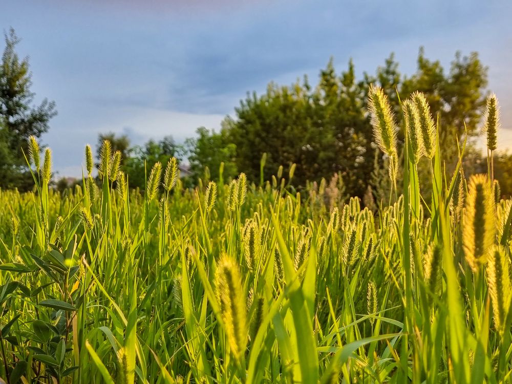 Photograph by Василий Арлашов