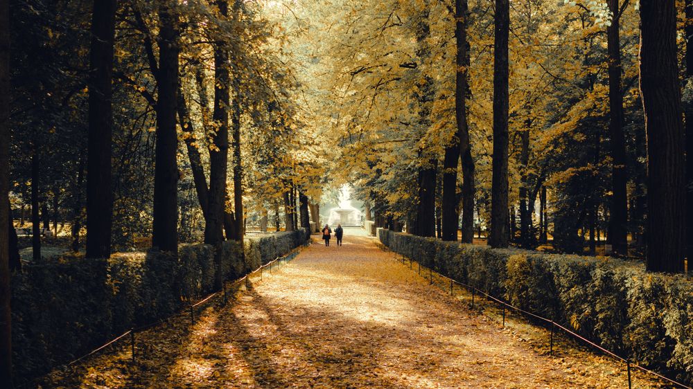 Фотография автора Черников Иван