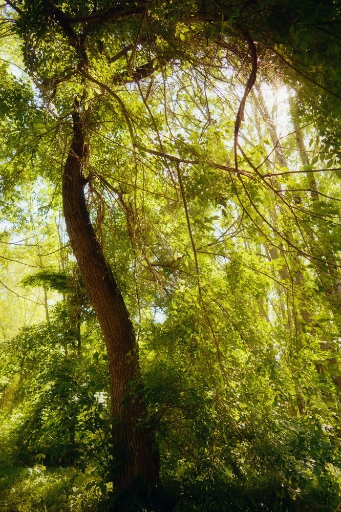 Photograph by Мария Опритова