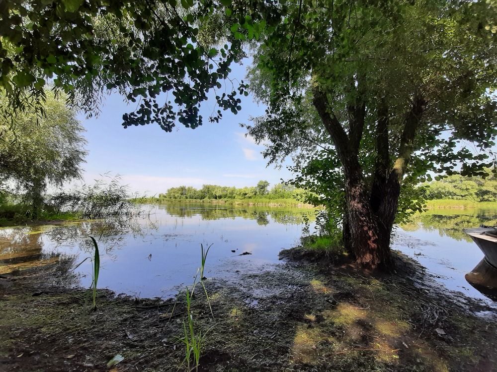 Photograph by Табачкова Татьяна