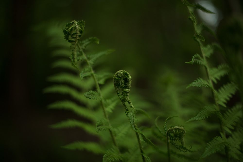 Photograph by Kristina Nutautiene