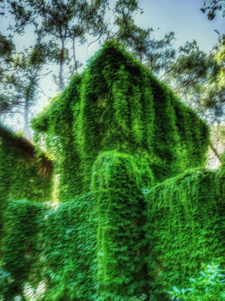 Photograph by Elena Novikova