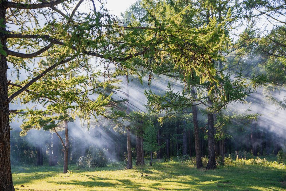 Фотография автора Анастасия