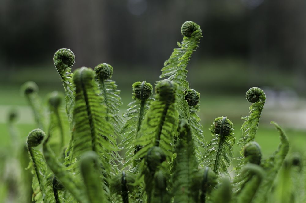 Photograph by Kristina Nutautiene