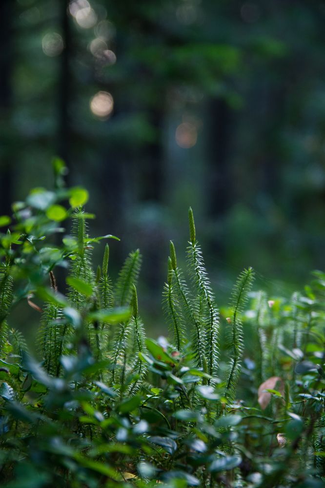 Фотография автора Анастасия