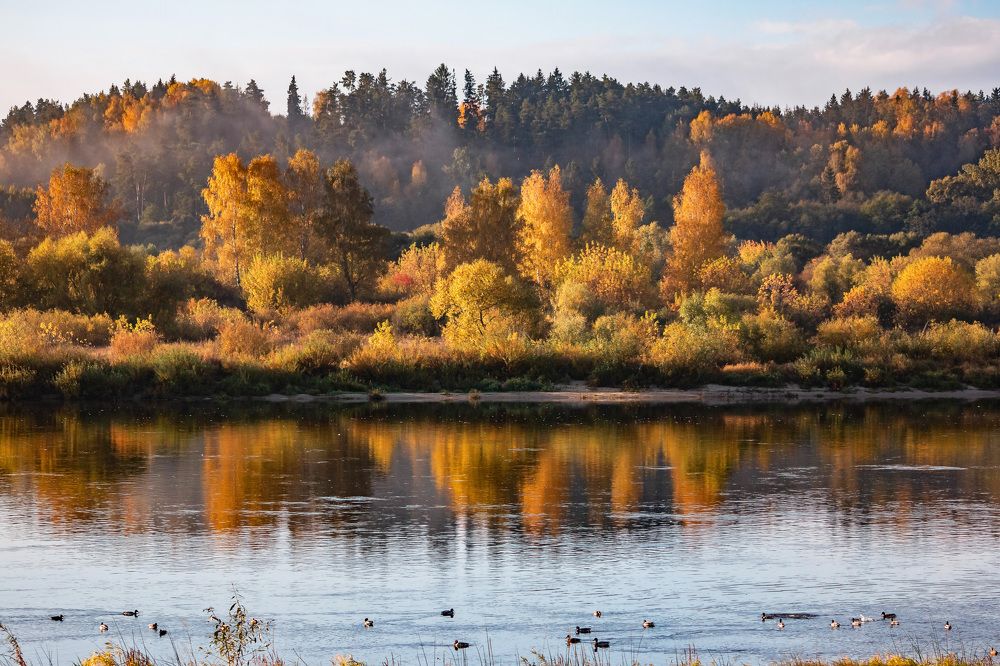 Photograph by Rasita Li