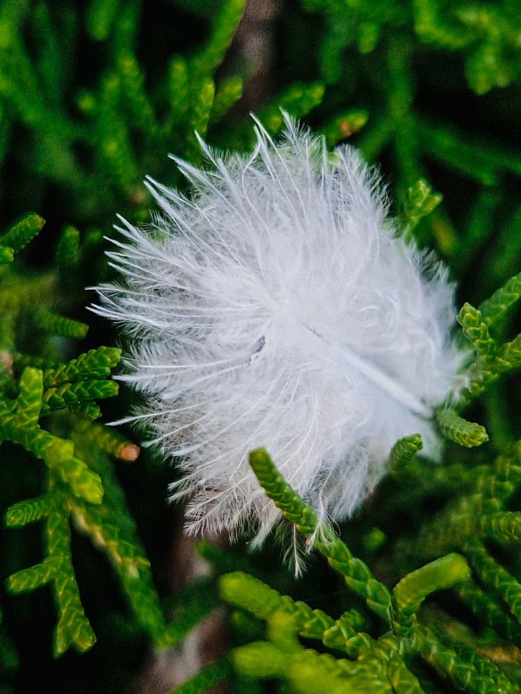 Photograph by Liudmila Kirillova