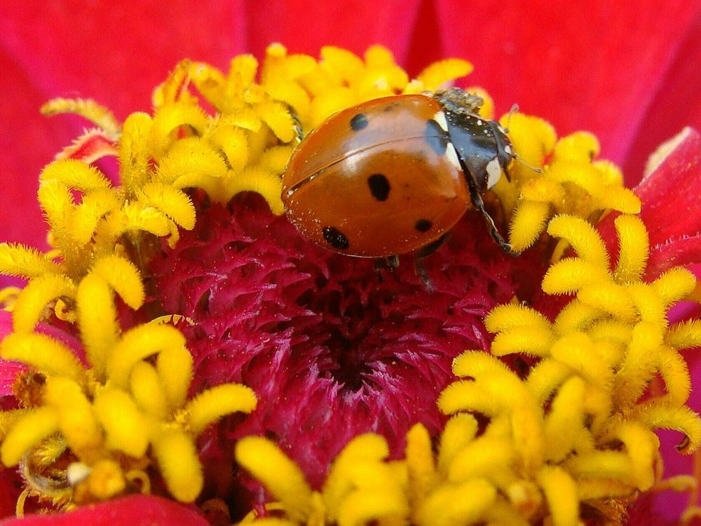 Фотография автора Павел Попов
