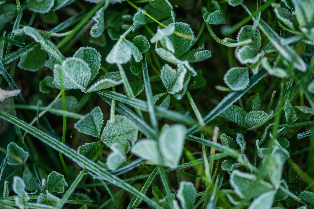 Фотография автора Анастасия