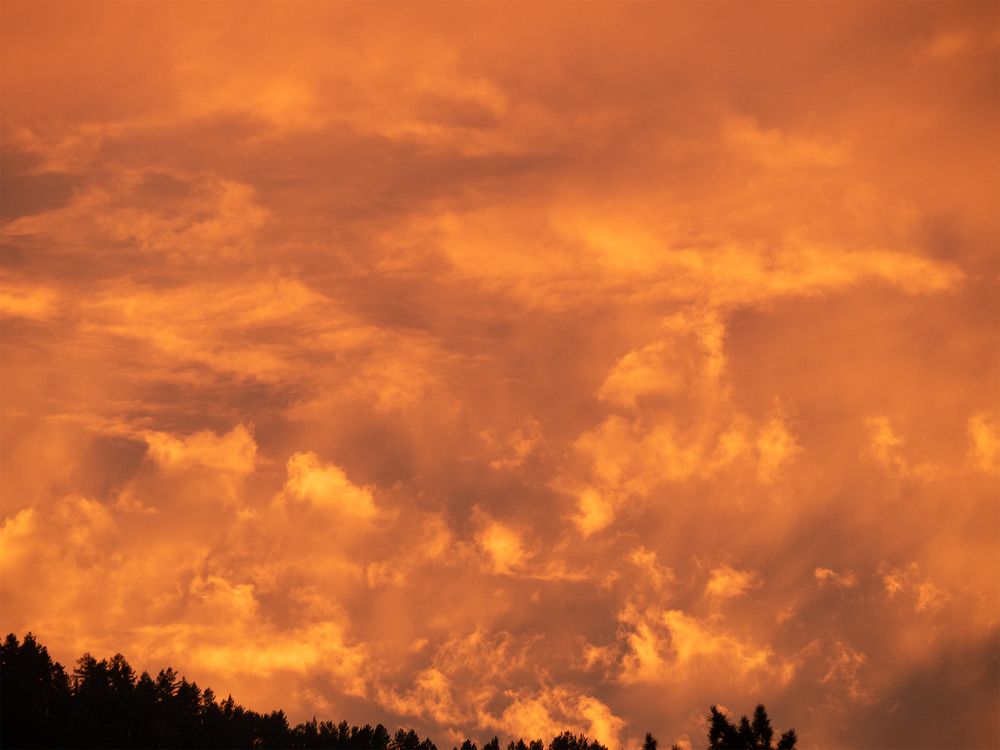 Photograph by МАрина Соловьева