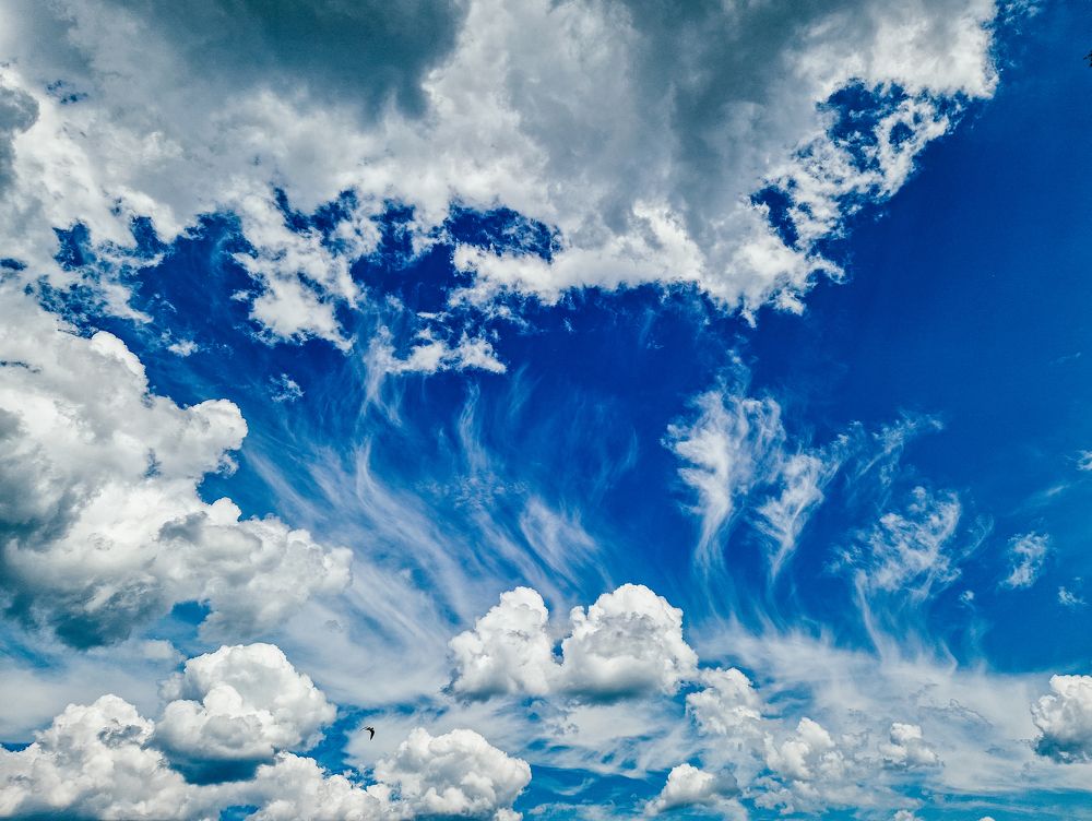 Photograph by Liudmila Kirillova