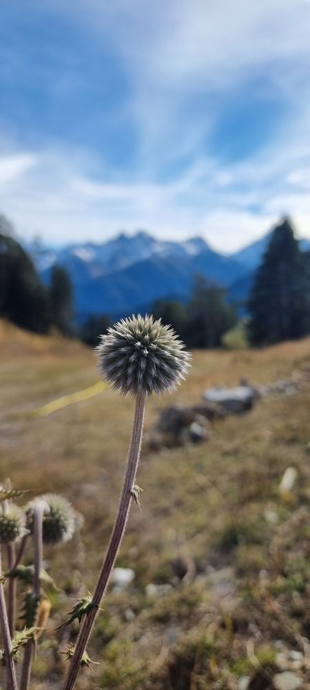 Photograph by Наталья Ганиченко