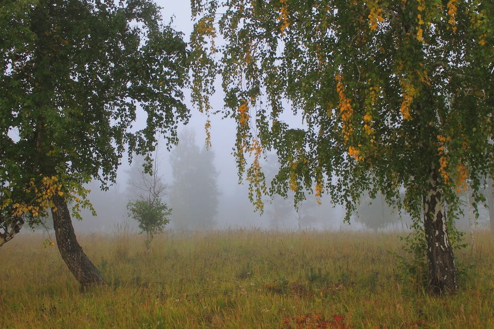 Photograph by Леунина Людмила