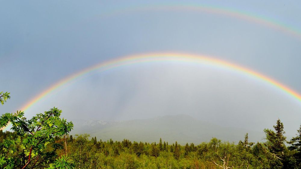 Photograph by Елена Репьева