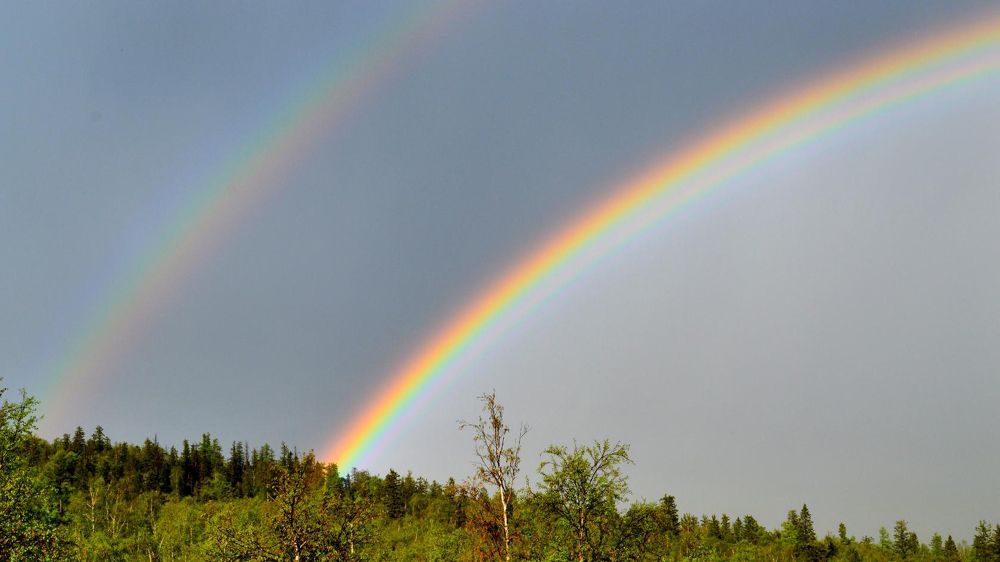 Photograph by Елена Репьева