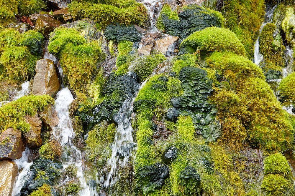 Photograph by Алексей Романов