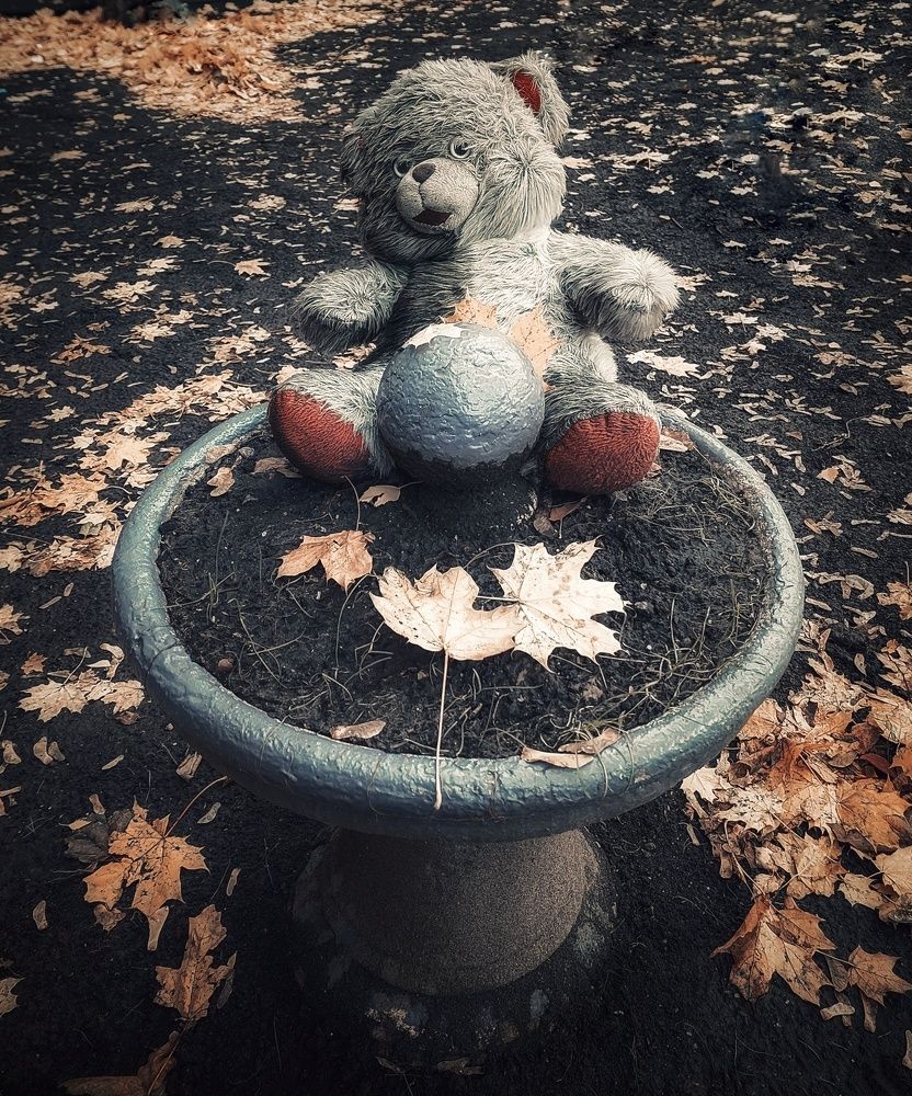 Photograph by Ольга Бородина