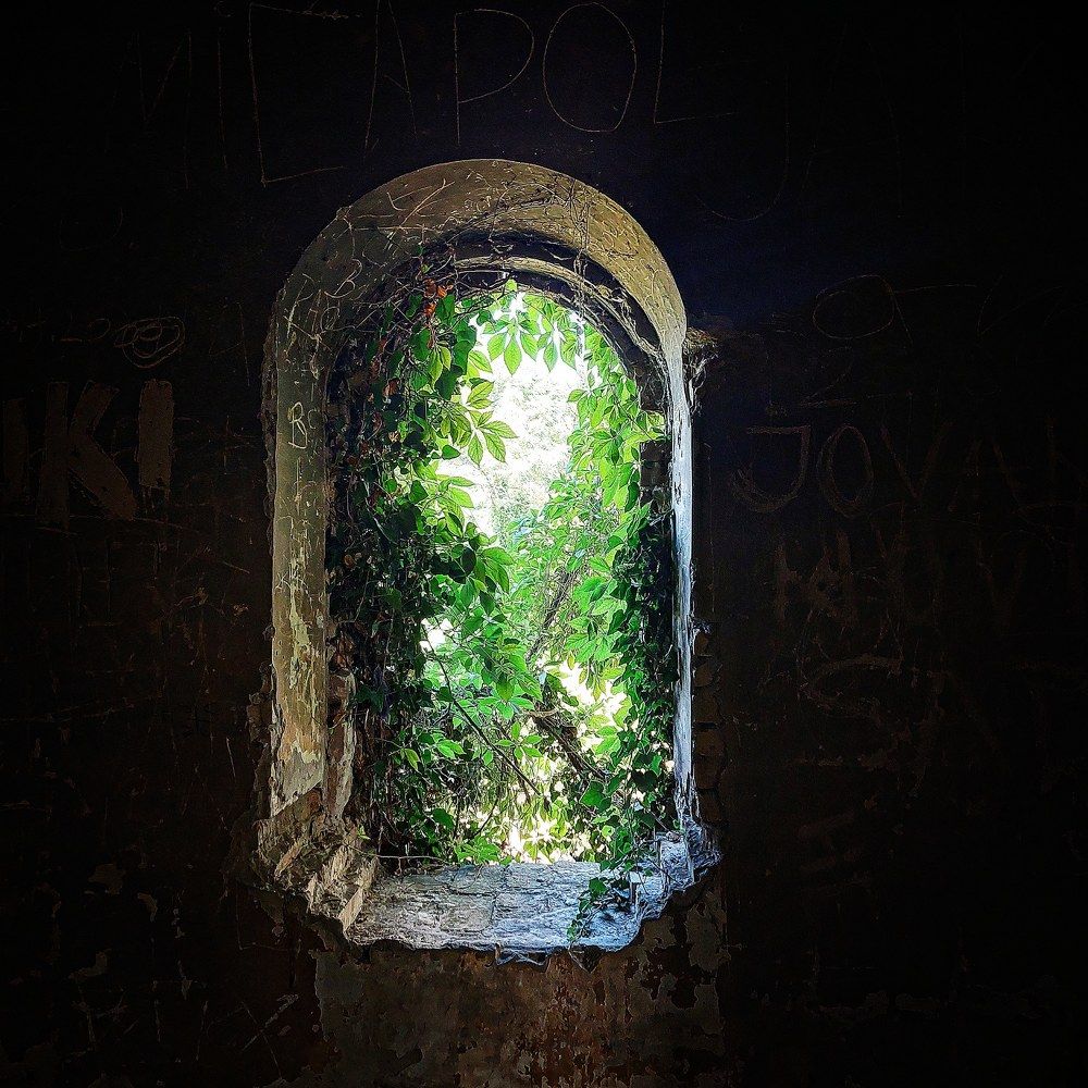 Photograph by Maja Micovic